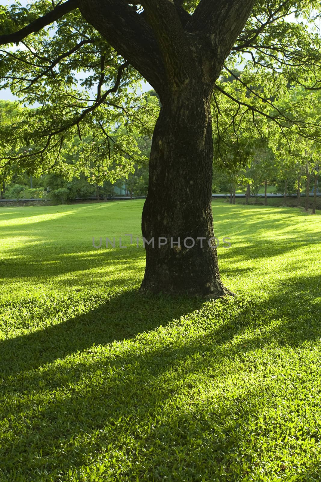 Green Park