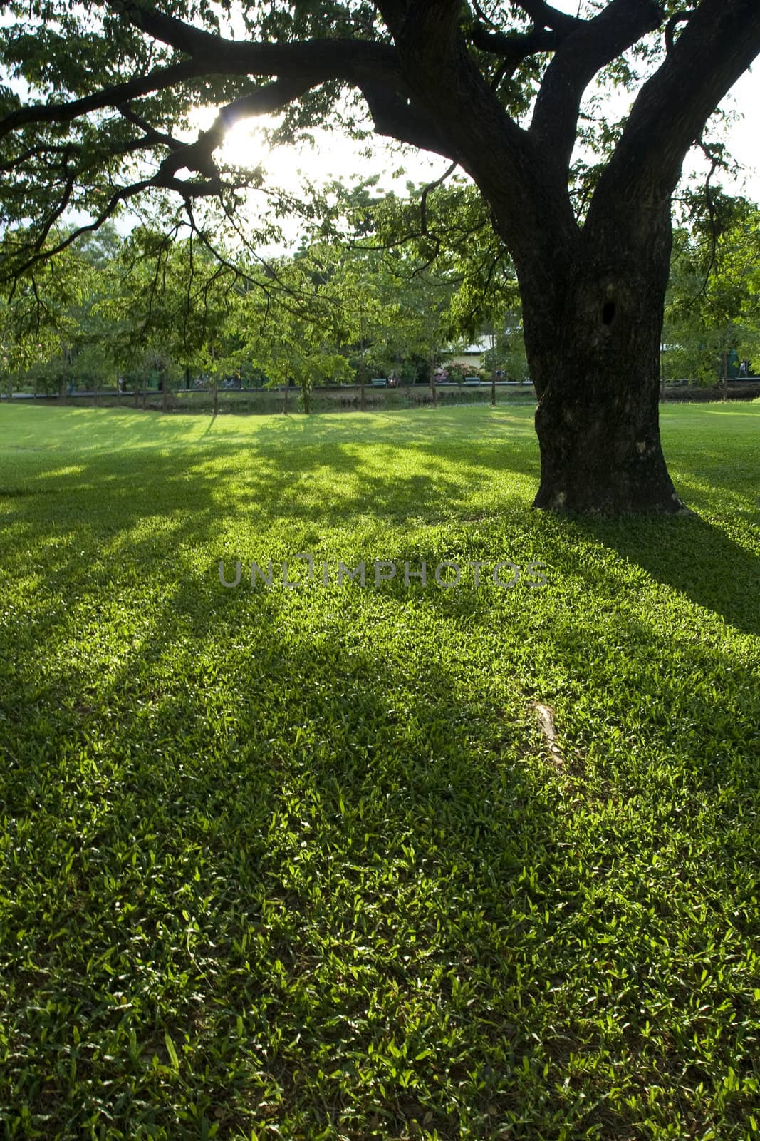 Green Park