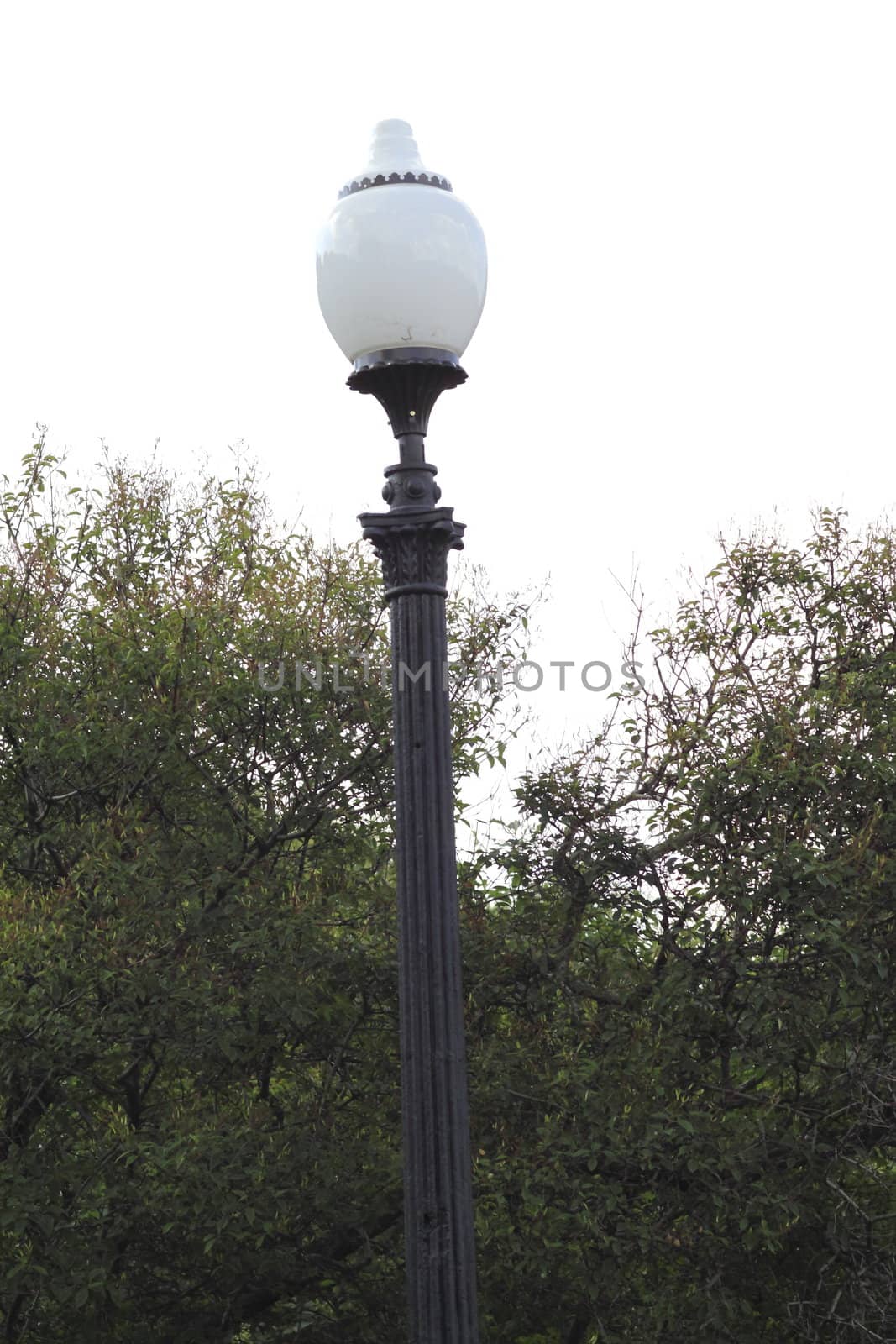 lights in a city park