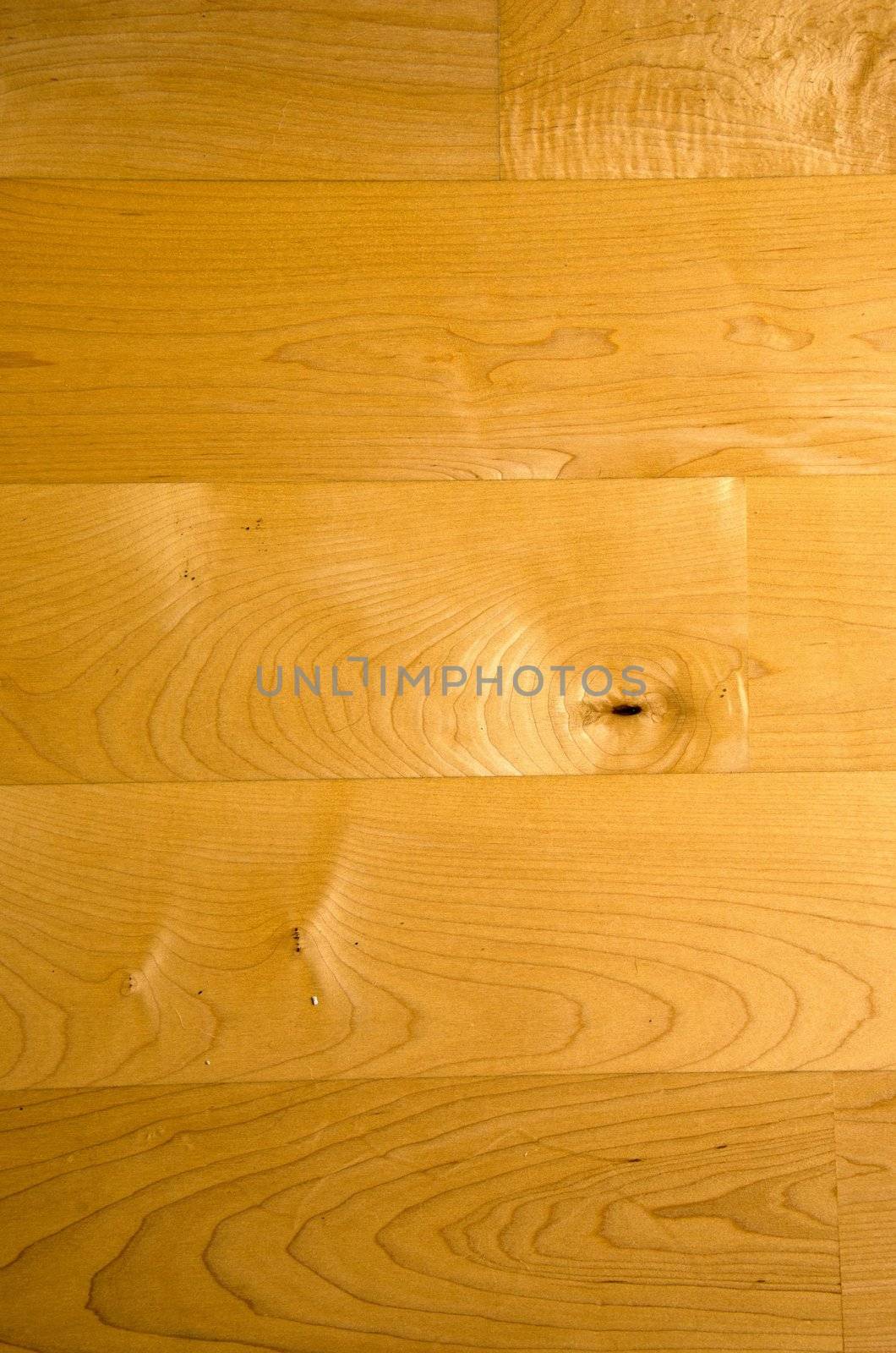 Wooden floorboard fragment. Canadian maple tree product.