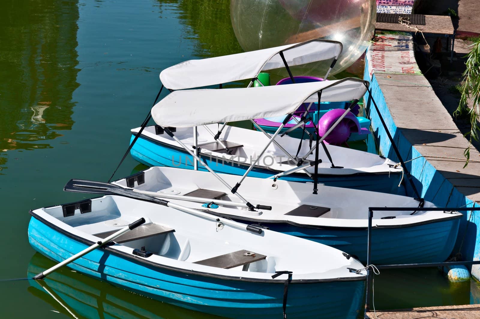 Three boats on the water in the pond.