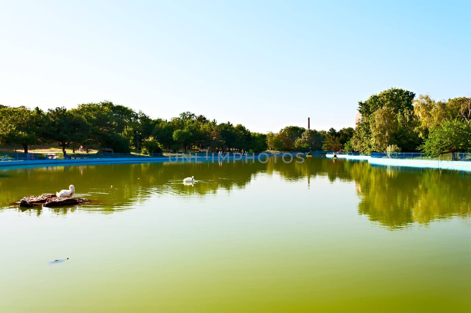 A pond in the arboretum Victory, Odessa. Ukraine.