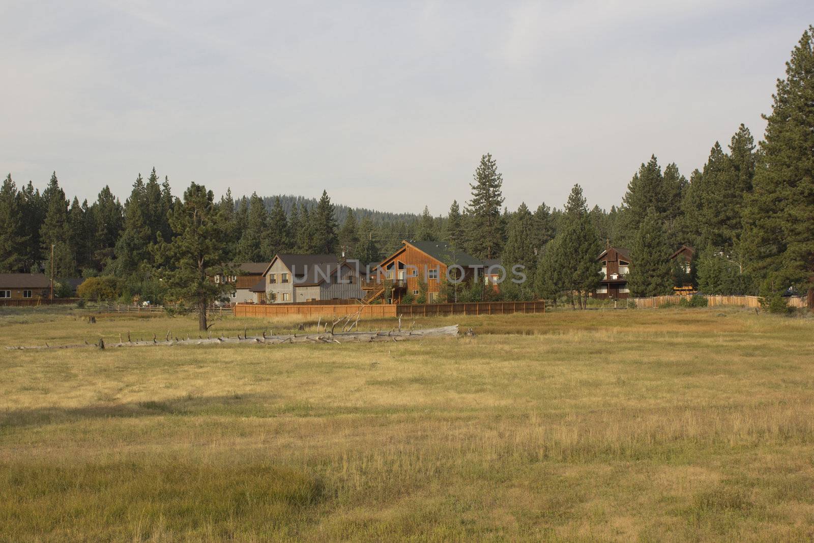 a cabin in truckee ca. in a meadow just out of down.