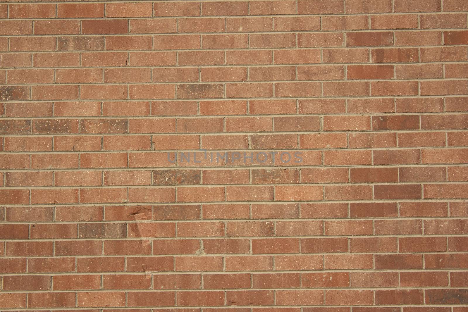 Large brick wall texture. by jeremywhat