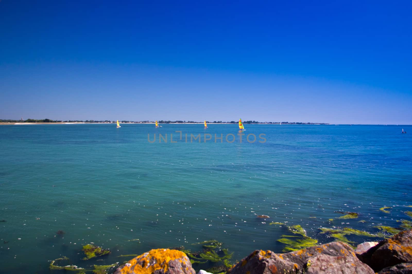 Sailing boats on a blue sea