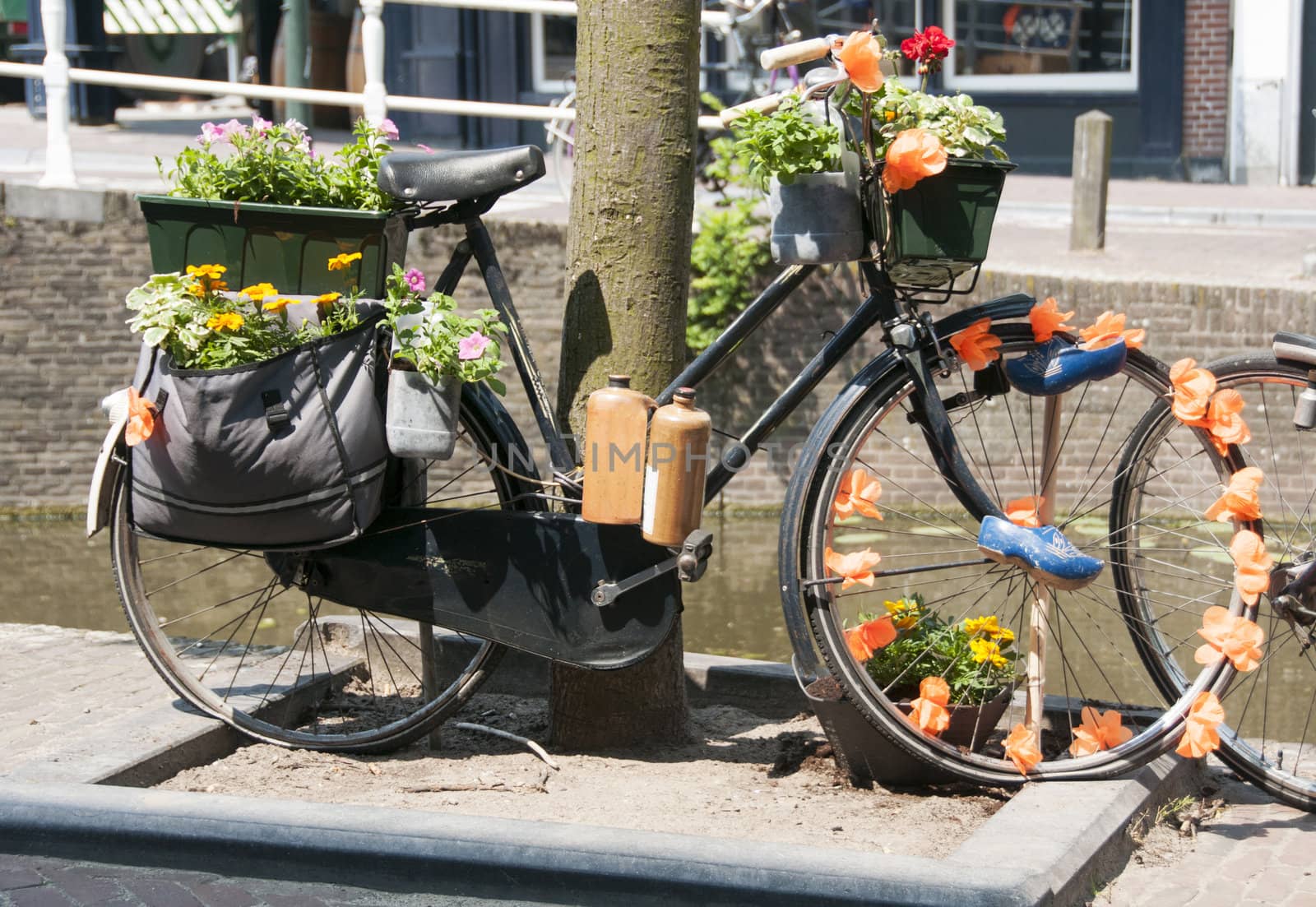old bike in Holland with orange flowers bottle of drink and wooden shoes