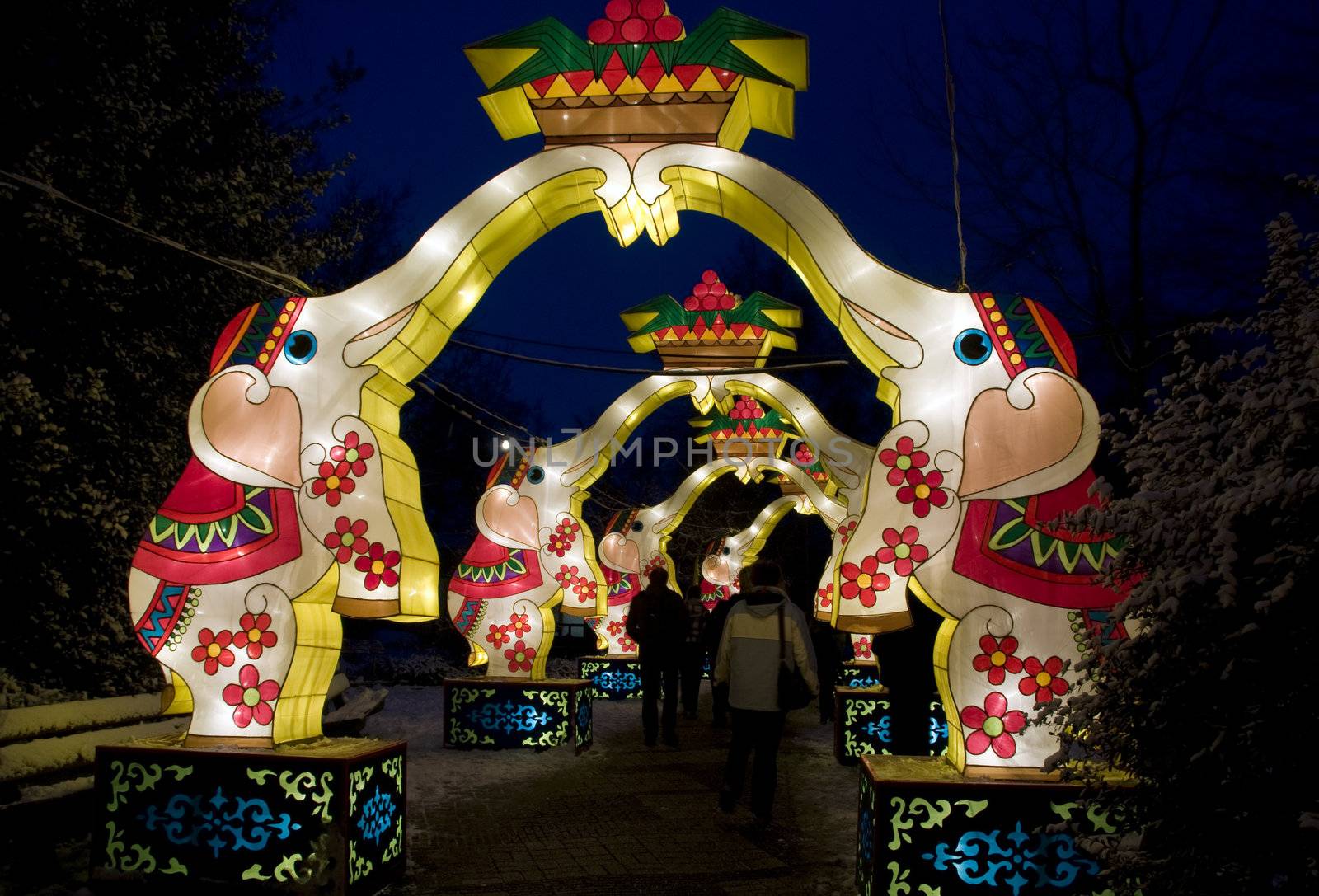 chinese festival of lights by compuinfoto