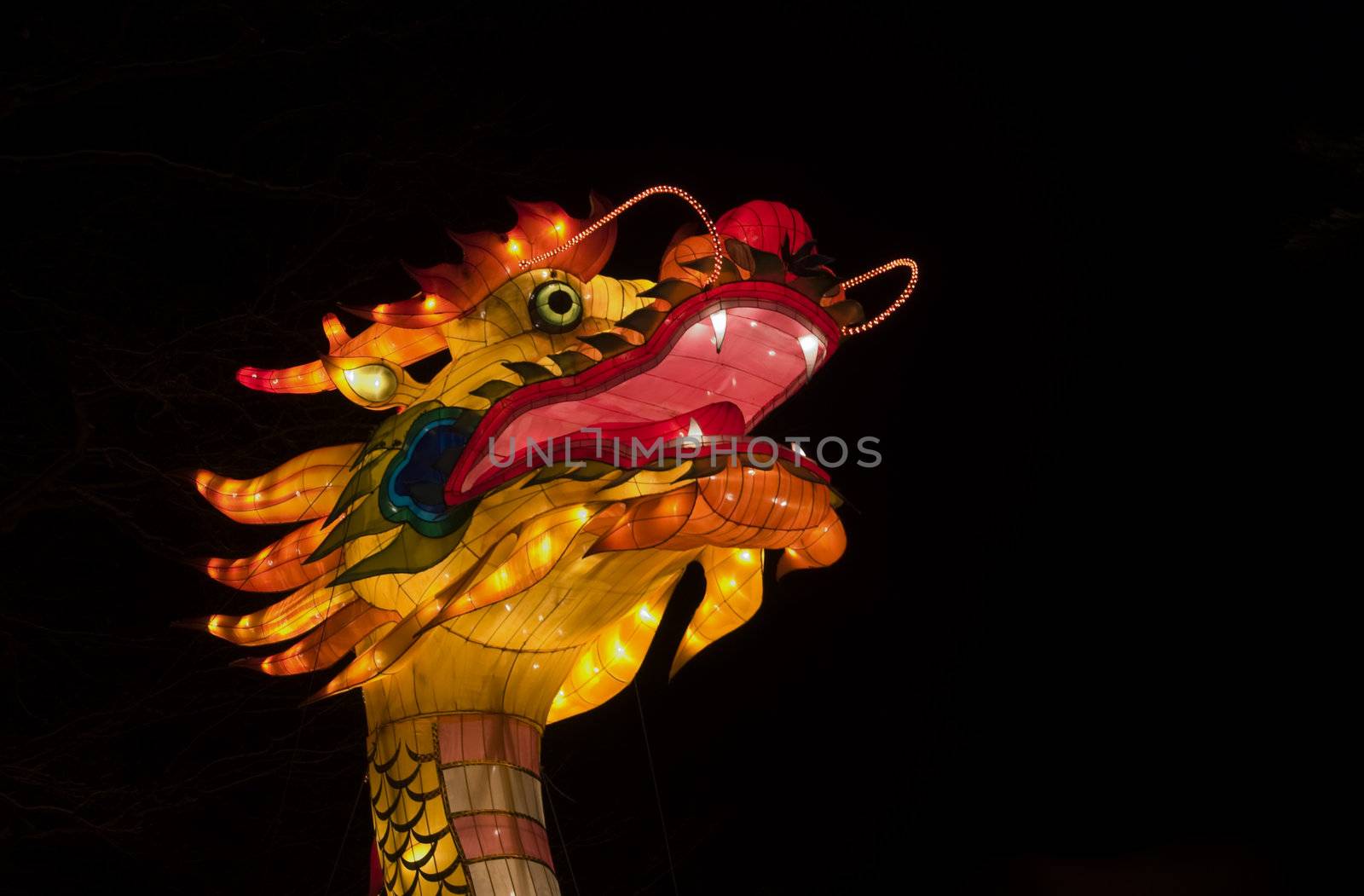 Chinese light festival in Holland Europe