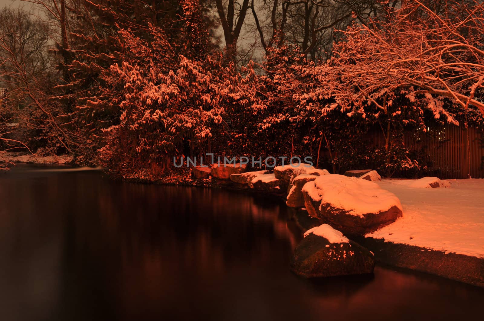 evening garden with trees and water in winter