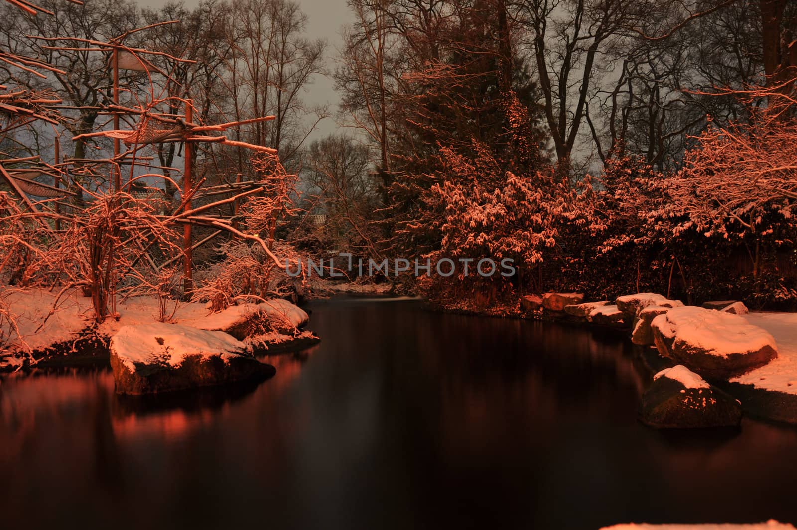 evening garden with trees and water in winter
