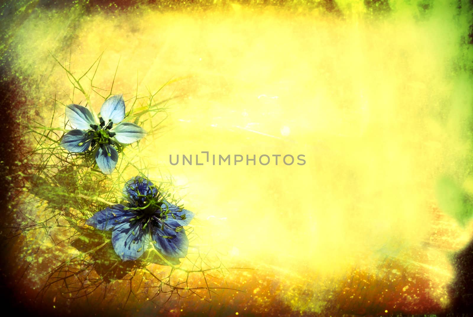 style grunge background with  flower, copy space  