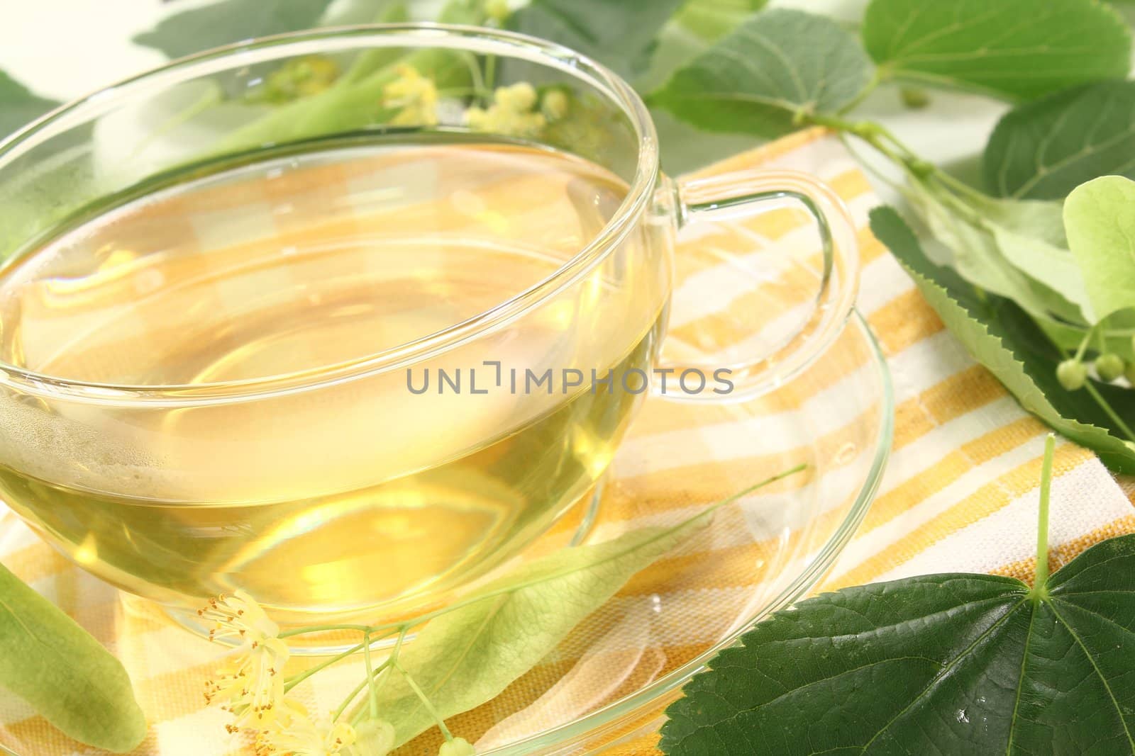 hot fresh delicious lime blossom tea on a bright background