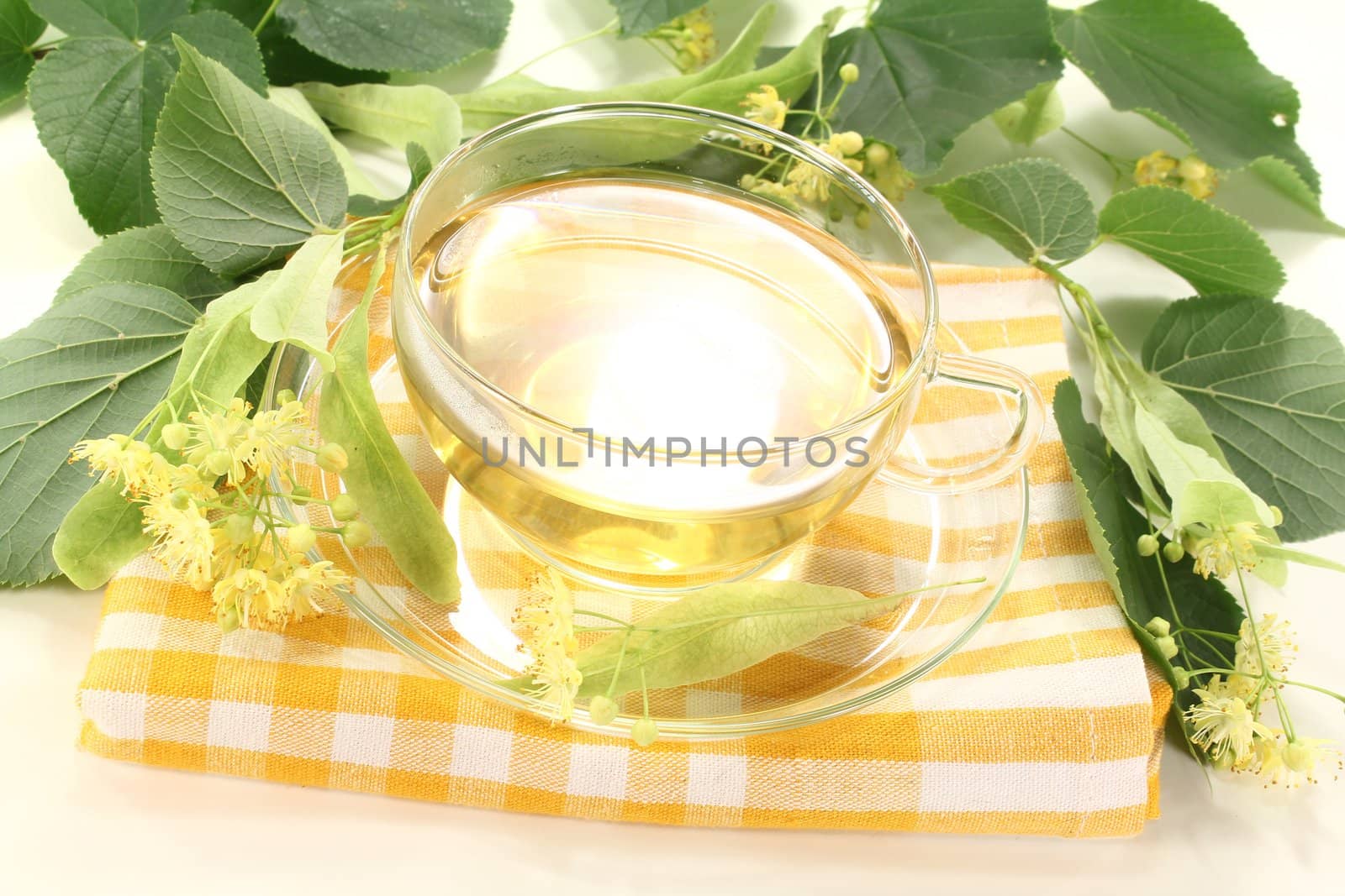 lime blossom tea with flowers by discovery