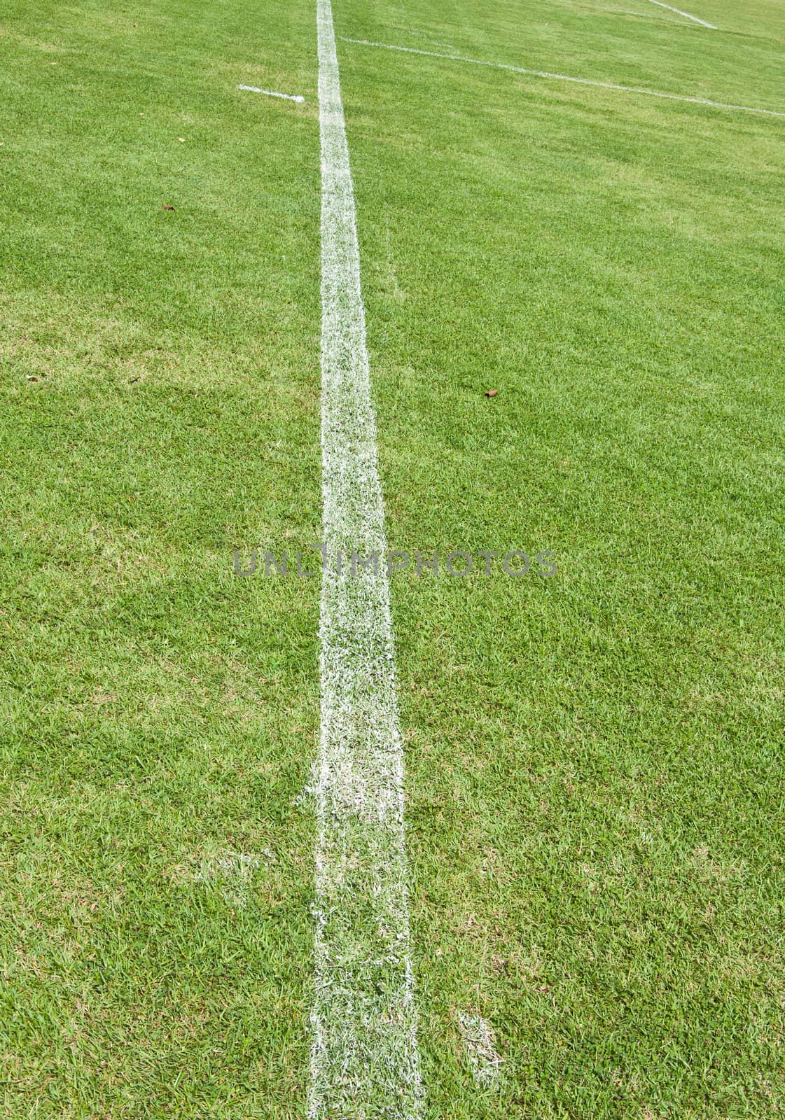 white line in soccer field