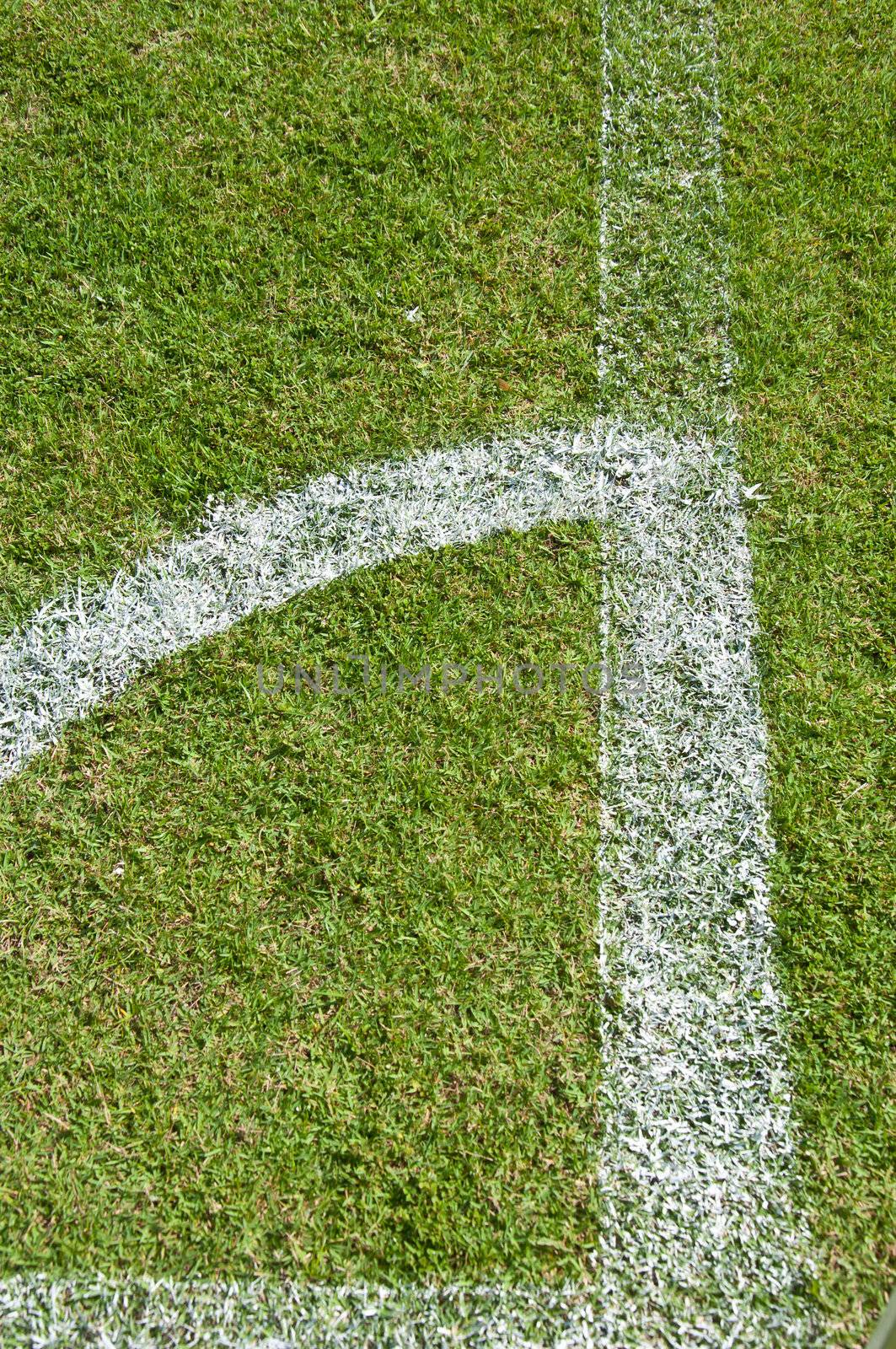 white line in soccer field