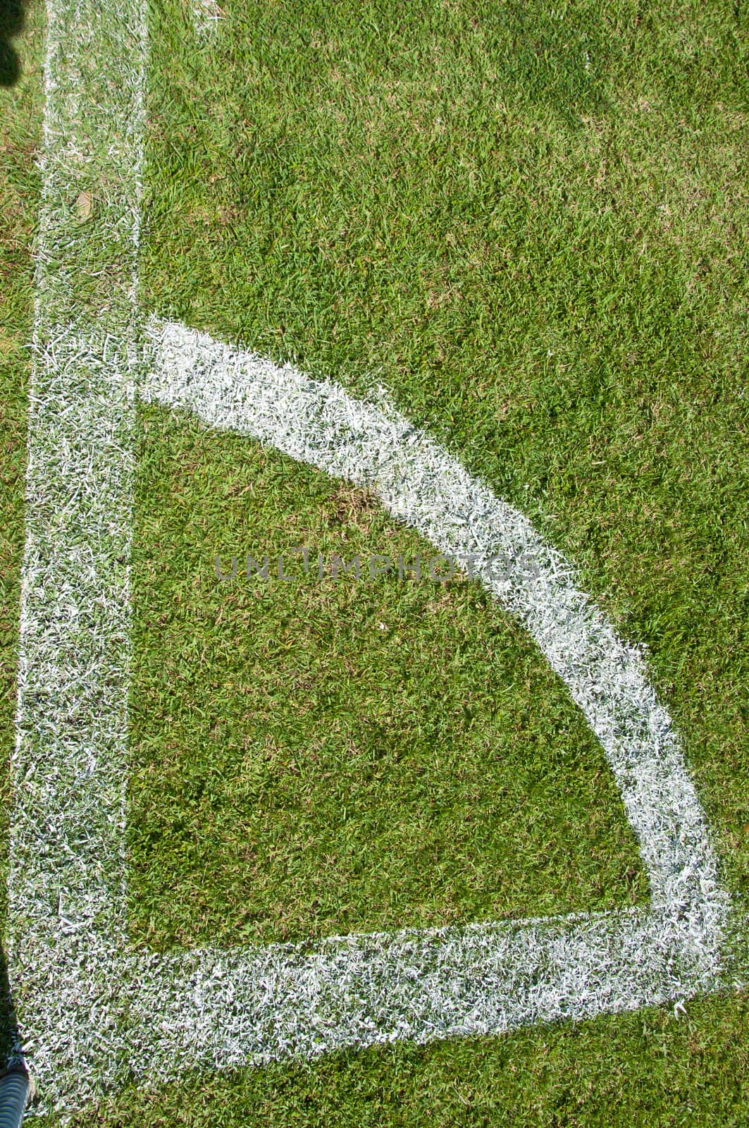 white line in soccer field