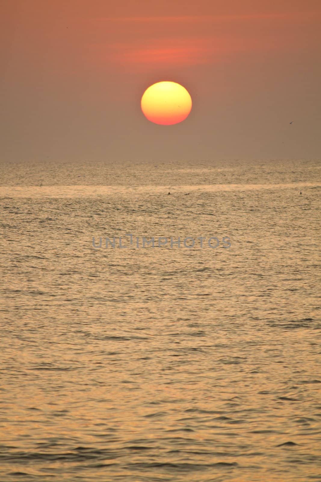 View of a big red sun at sunset on a calm beach.