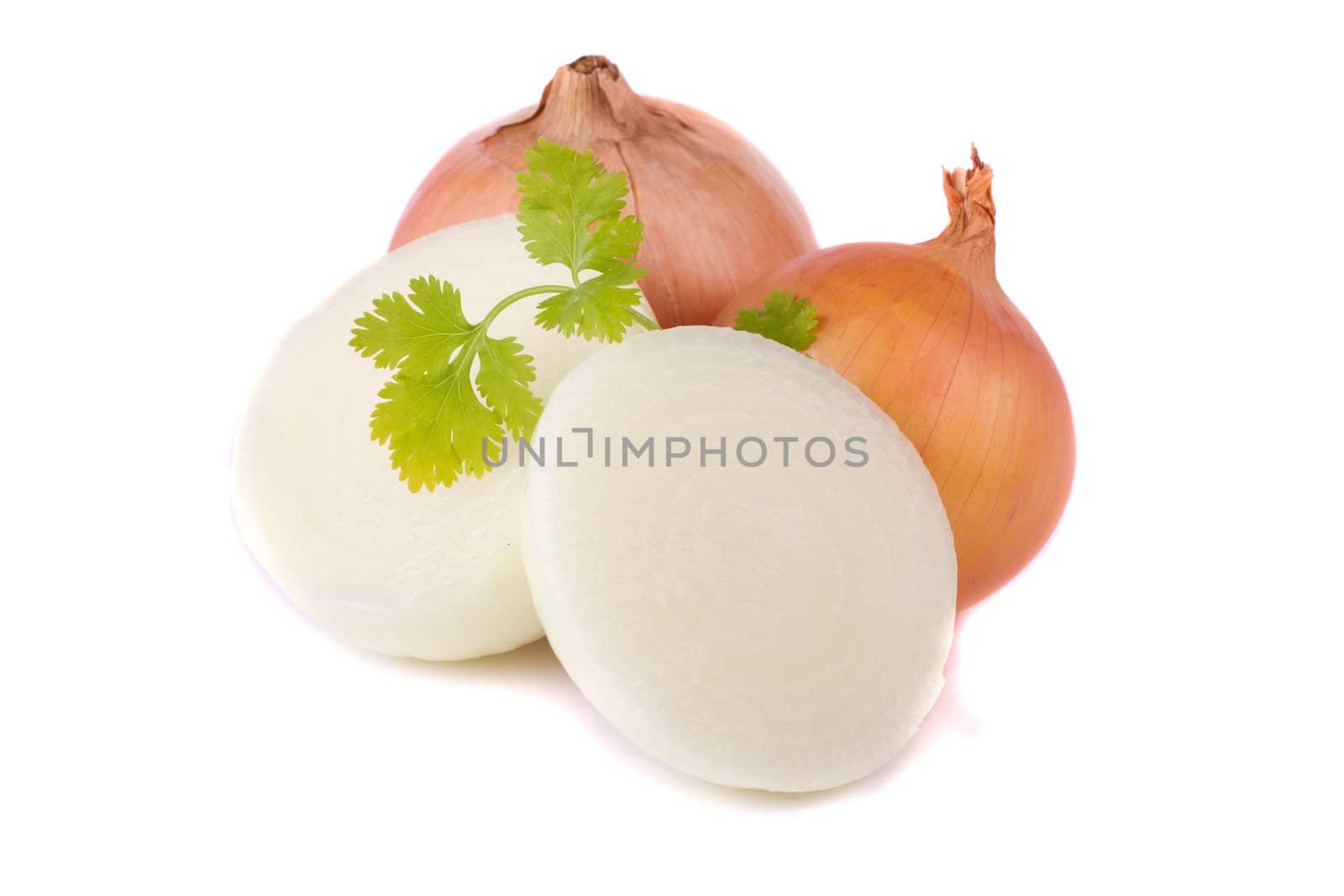 Close up view of an onion isolated on a white background.