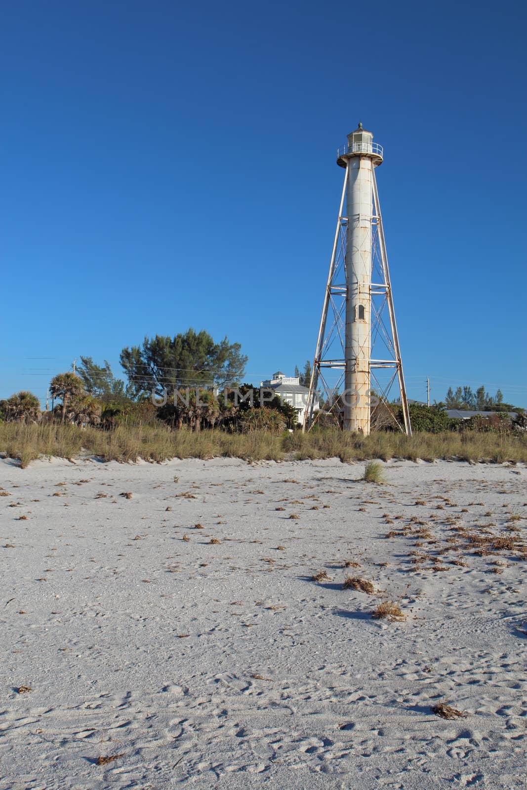 The Gasparilla Island Rear Range Light on Gasparilla Island, Florida viewed from the beach with sea oats (Uniola paniculata) and other plants in the foreground and a clear blue sky vertical