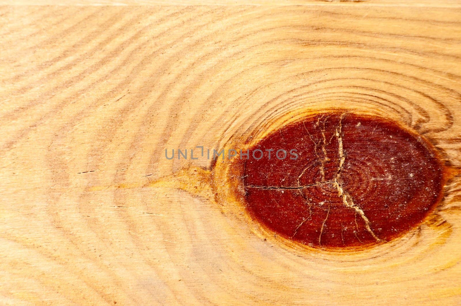 Background - big knot in wood, closeup.