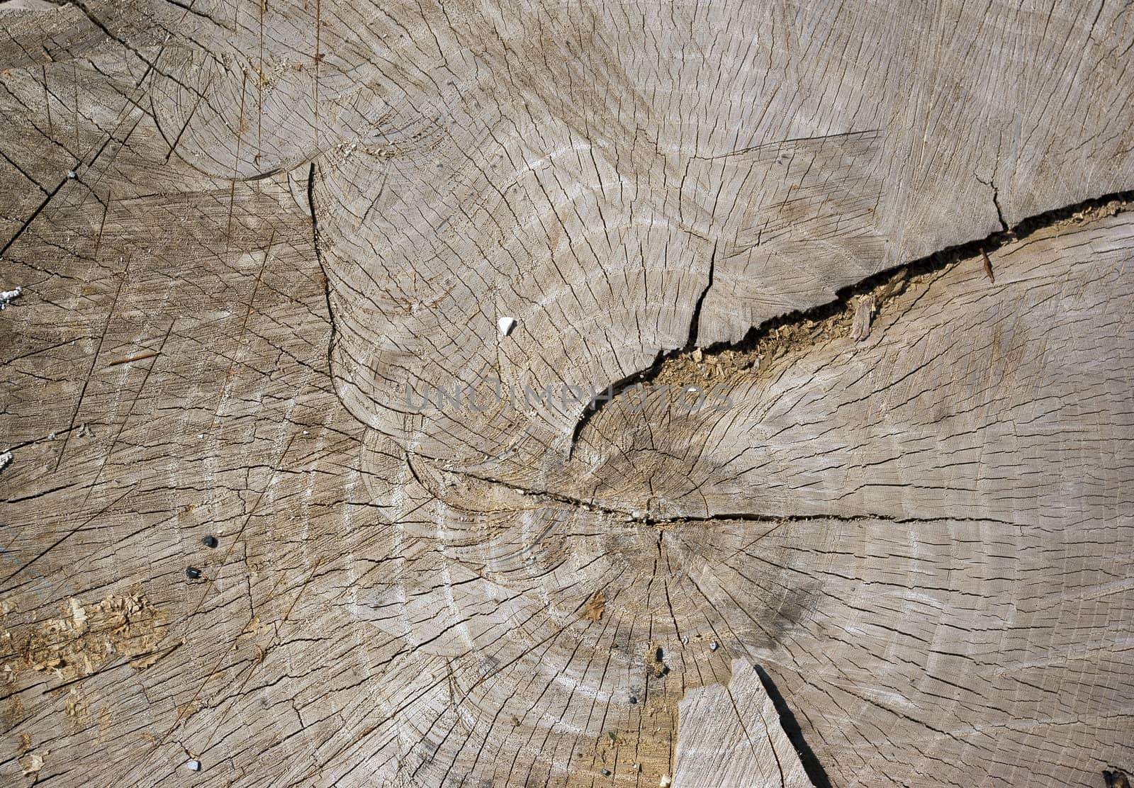 the background texture of the old wooden