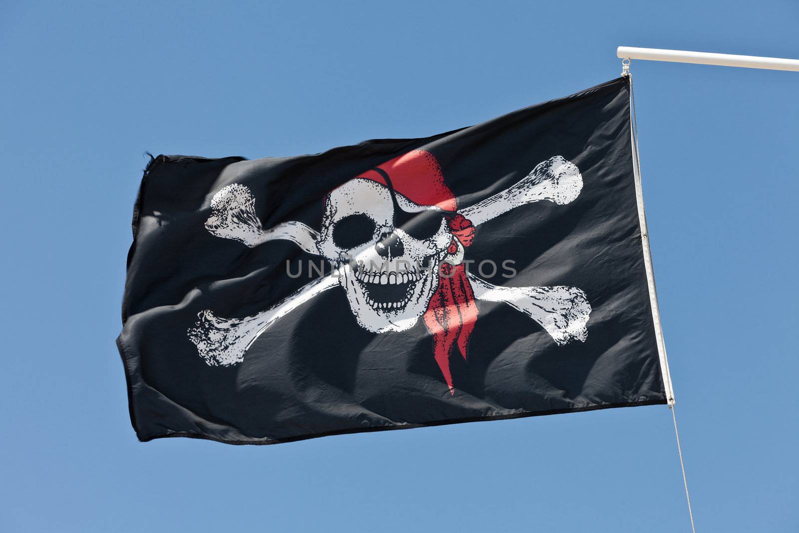 Pirate Flag by gemenacom