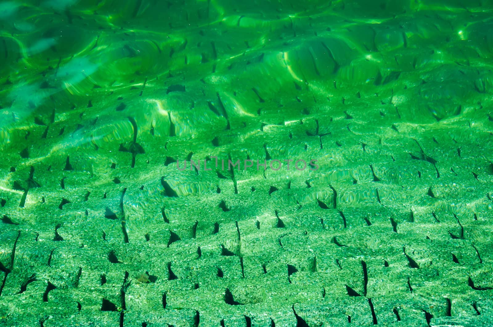 Green water ripple with cement ground in water