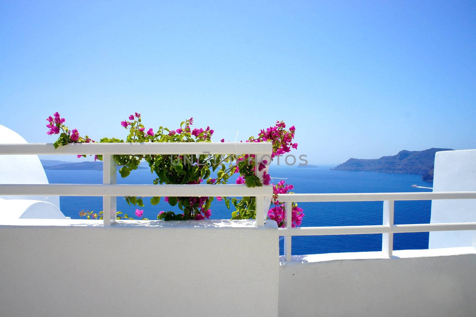 Santorini terrace with flowers by tanouchka