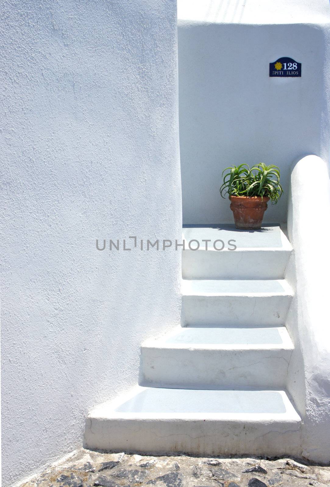 Houses of Santorini in details, pot with flower on the stairs              