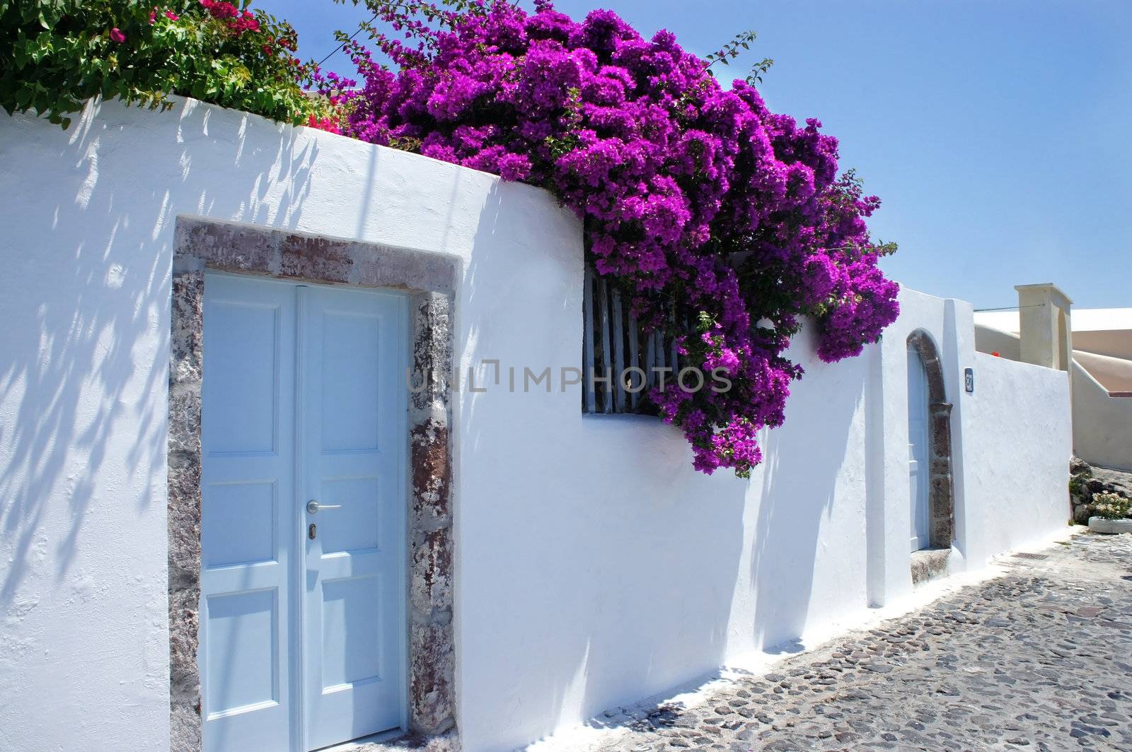 Santorini street with flowers  