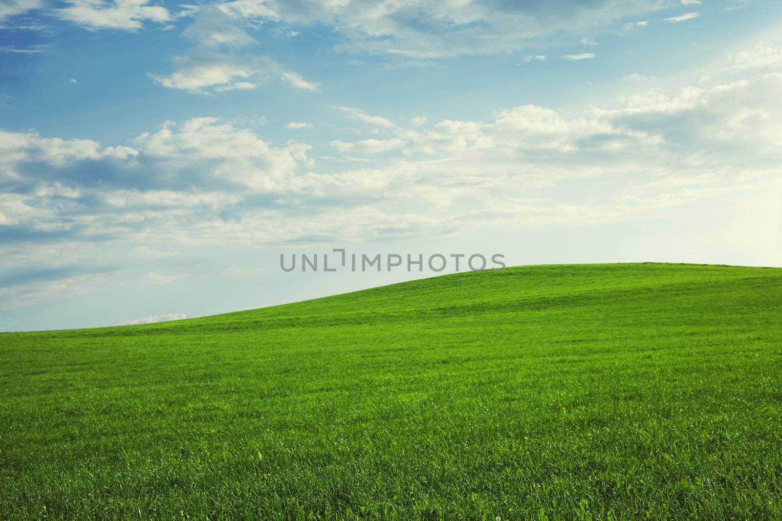 beautiful hill landscape with green meadow and blue sky