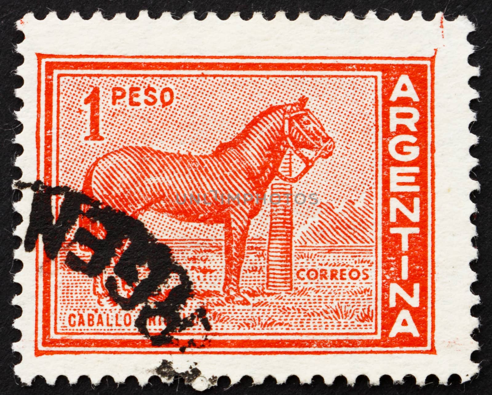 ARGENTINA - CIRCA 1959: a stamp printed in the Argentina shows Domestic Horse, circa 1959