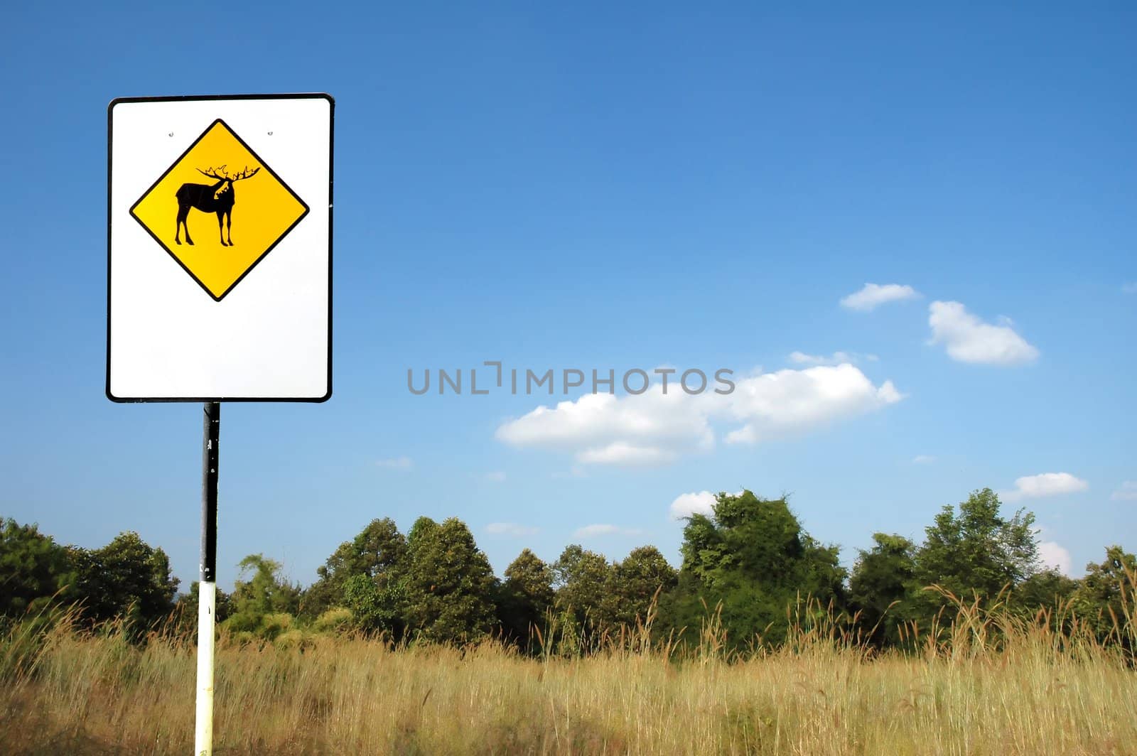 deer sign