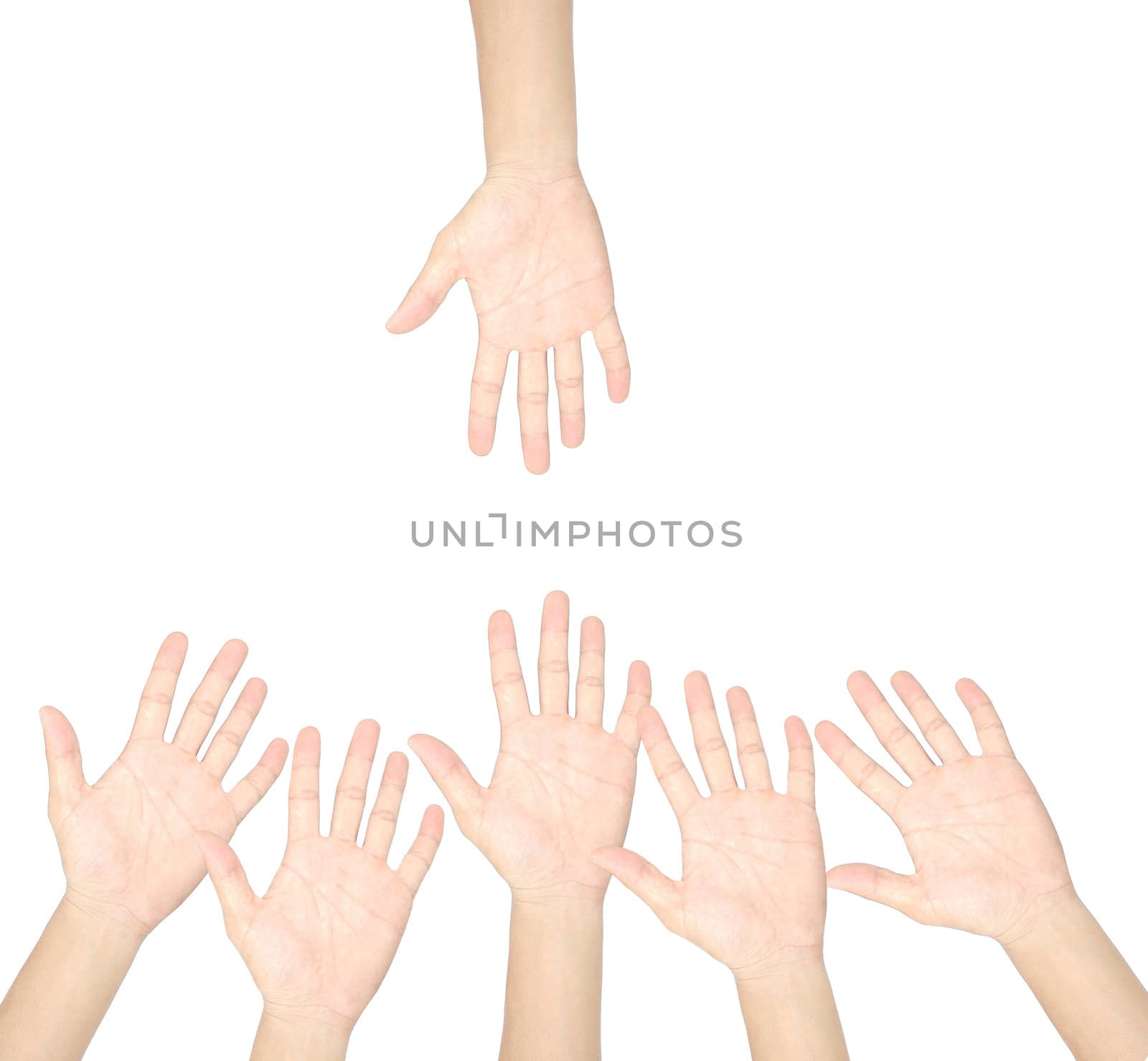 hand isolated