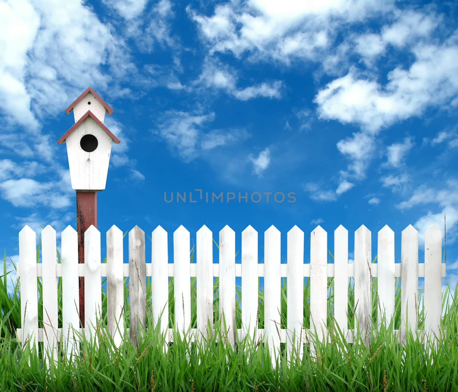 white fence with bird house