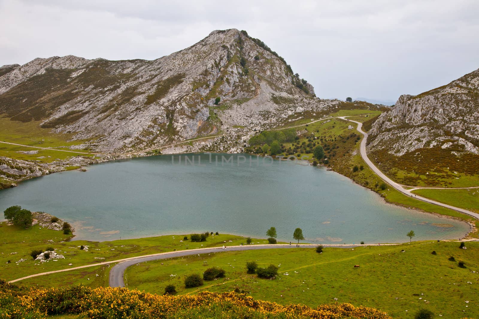 Fantastic lake Enol, one of the famous lakes of Covadonga, Asturias ,  Spain