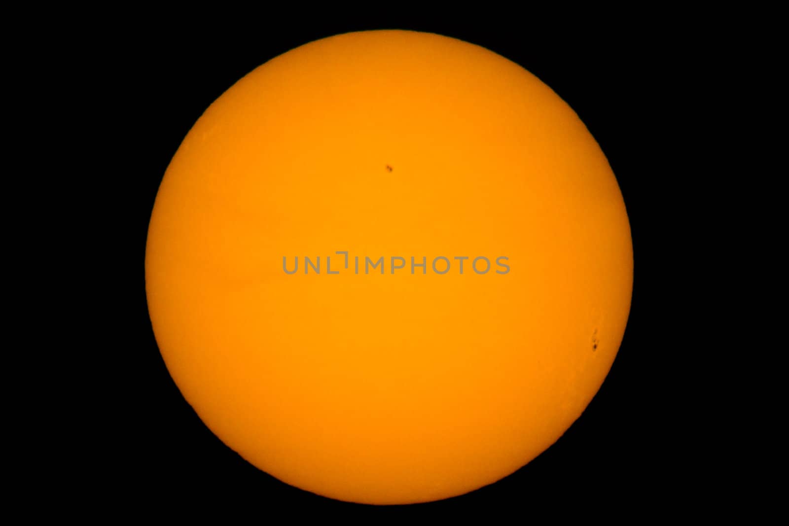 Photo of the sun with an especial leaf. In the photo we can see some sunspots