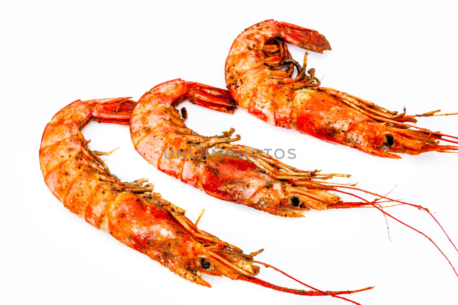 Grilled shrimp isolated on a white background