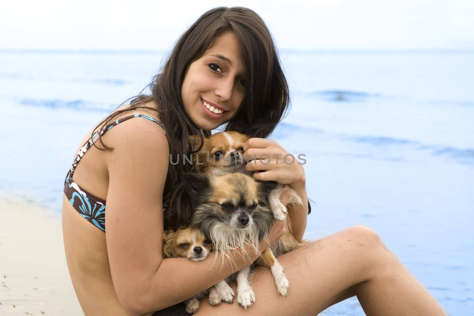 portrait of a cute purebred  chihuahuas and young woman on the beach