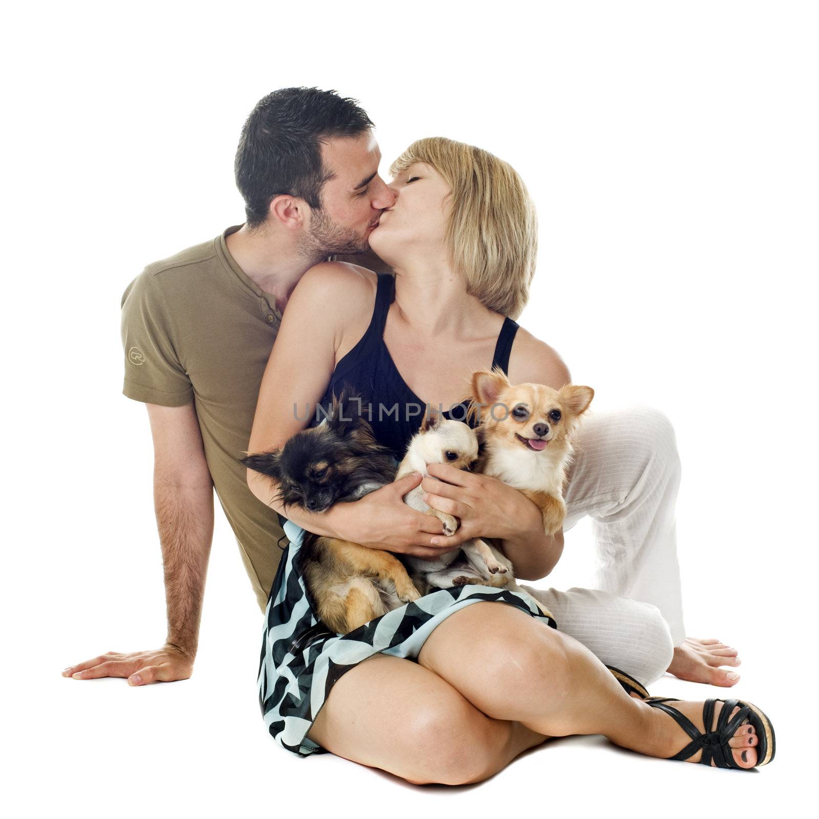 Romantic young couple with chihuahuas in front of white background