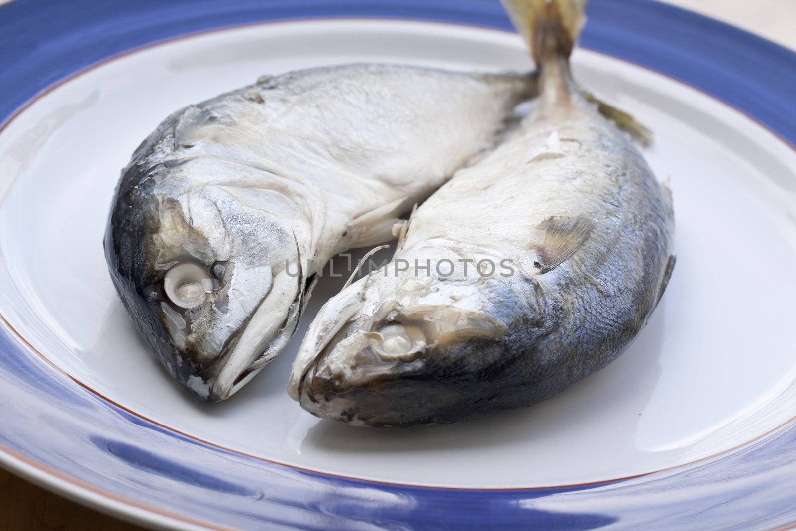 mackerel is a basic food of the thai people.