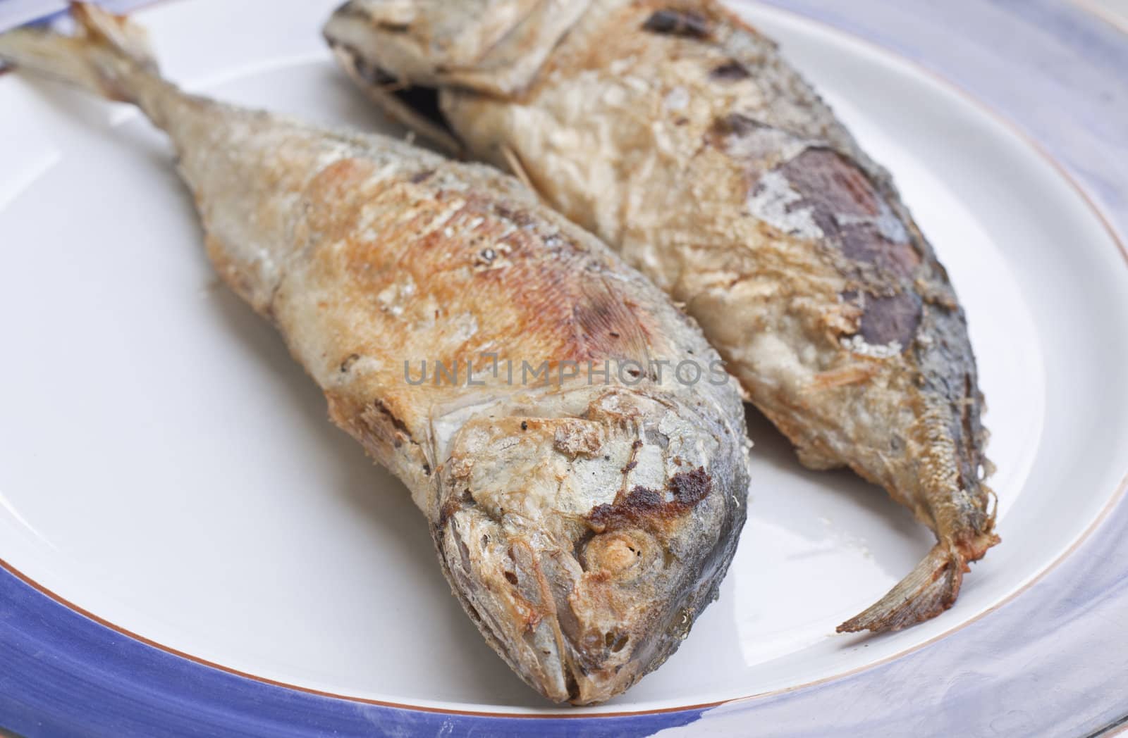 mackerel is a basic food of the thai people.