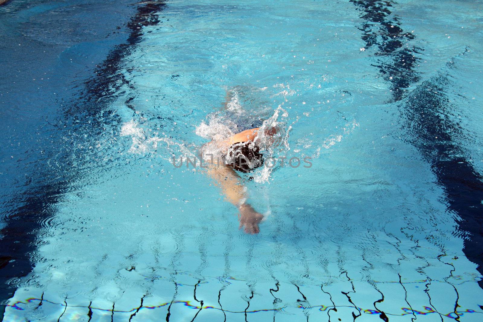 hobby swimmer swim the crawl by photochecker