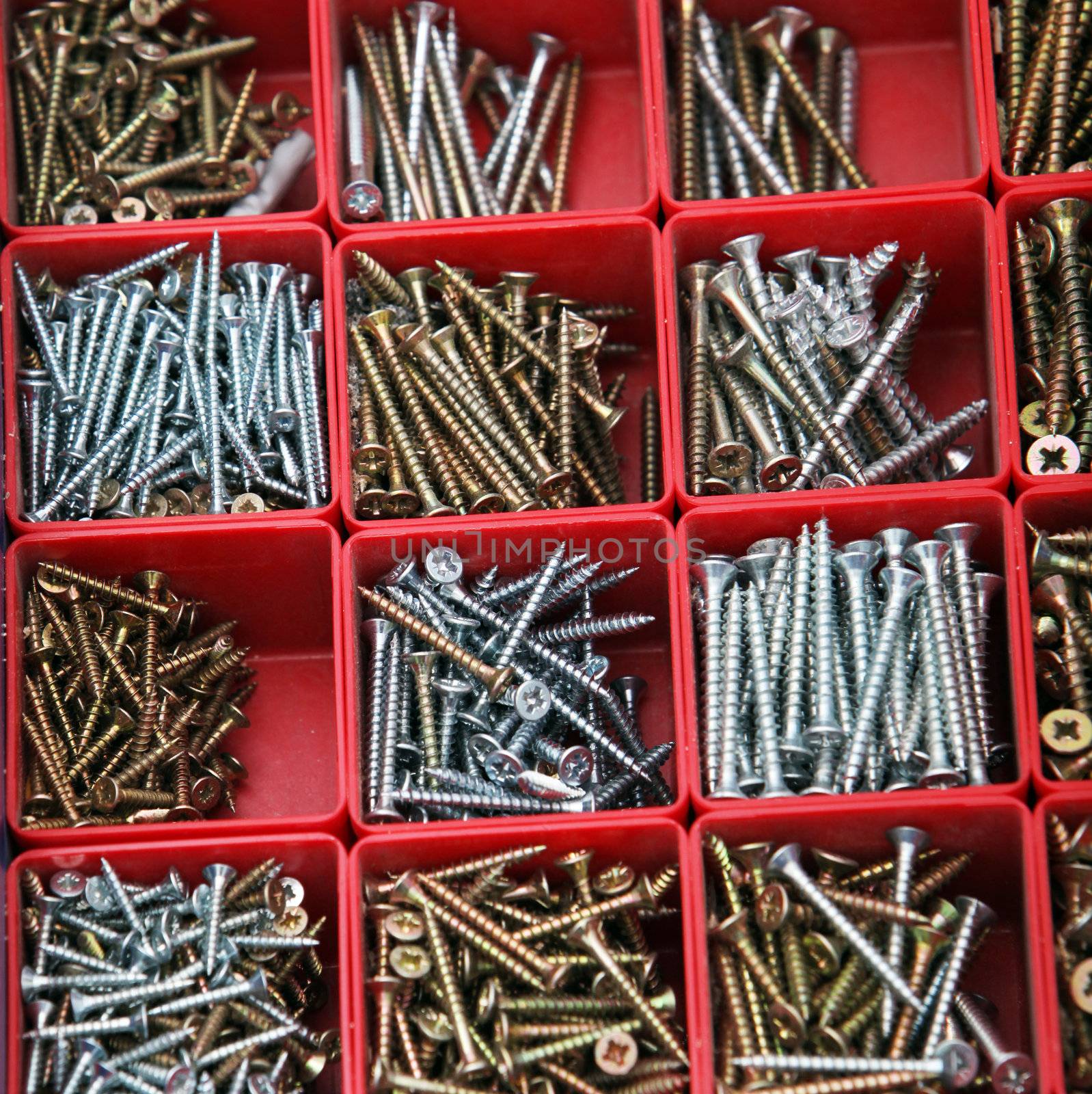 Toolbox full of segregated new bolts, screws in different sizes