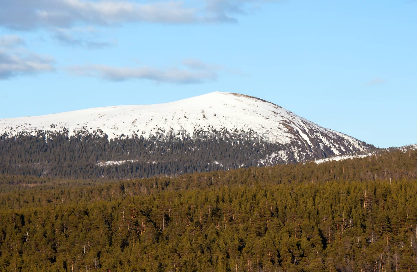 Iron Mountain on the Kola Peninsula. Russia. Spring. Sunlight