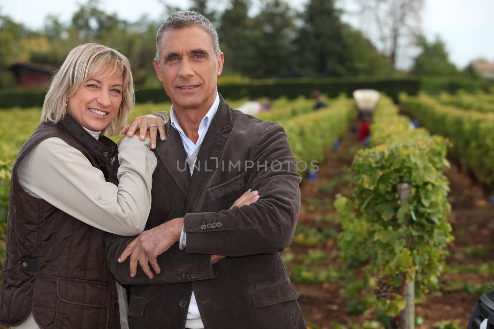 Couple in front of vineyard by phovoir