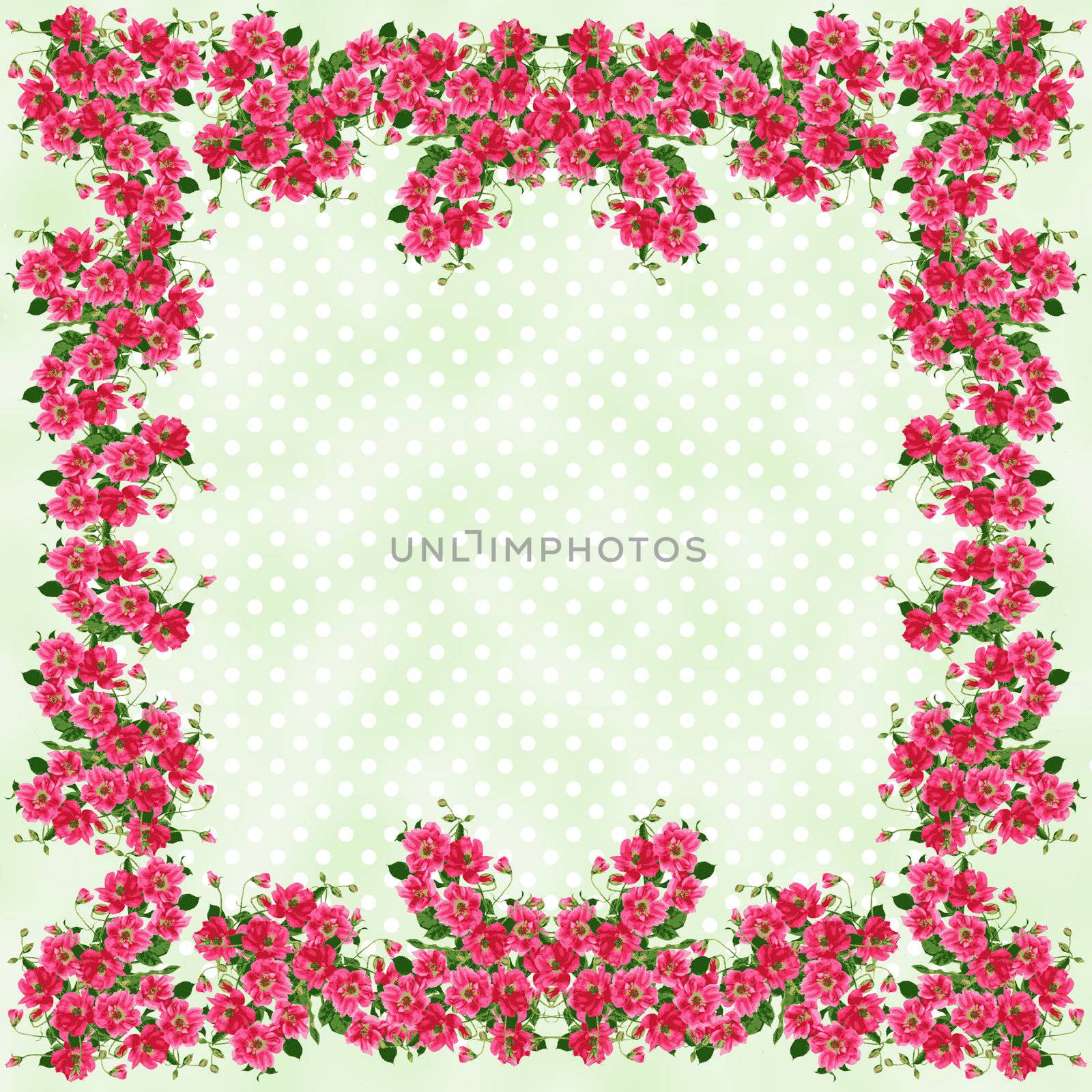 Rose Framed Pastel Polkadots by SongPixels