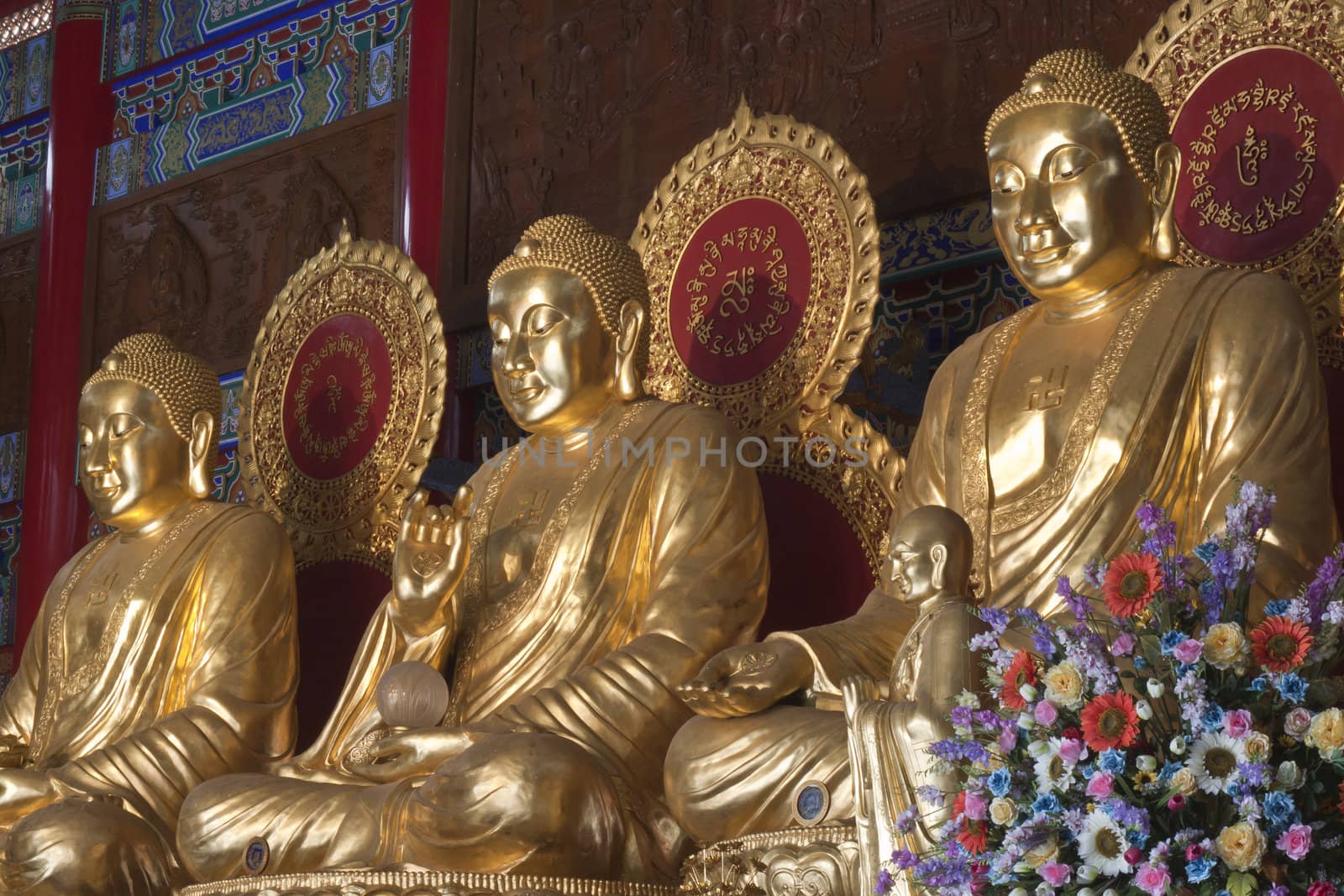 Buddha statue, Looking at the temple in Thailand.