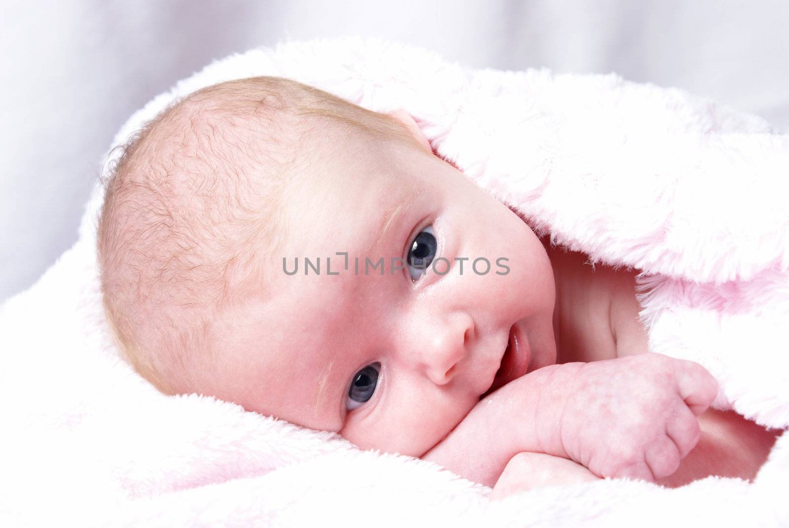 A one month old new born rests happily in her blanket.