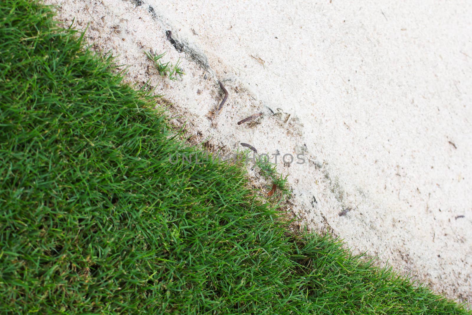 Green grass and sand traps on the golf course.